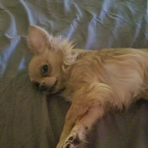 Meet your Posher, Terr